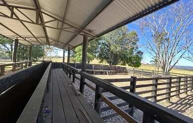 Imagem 14: fazenda dupla aptidão 540 hac