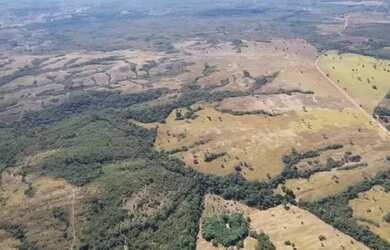 Imagem 12: fazenda dupla aptidão 540 hac