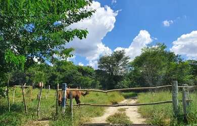 Imagem: O terreno possui 20.000m² de Área e está localizado em Fortuna