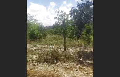 Imagem 2: Vende-se terreno na ilha. 6.015m² de Área