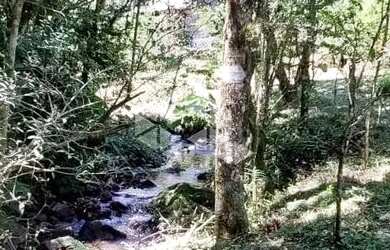 Imagem 8: Sitio de 22 hectares a poucos quilometros de Canela