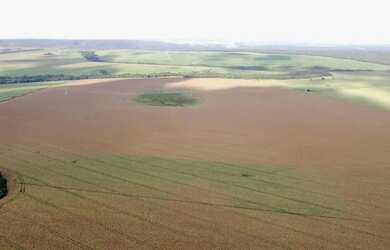 Imagem 12: Fazenda a venda, entre Paracatu e Cristalina / Goiás