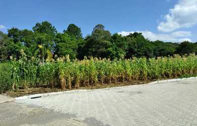 Imagem 7: Terreno para Venda em Nova Petrópolis, Pousada da Neve