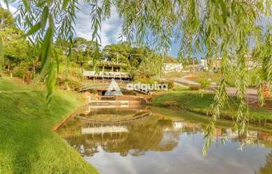 Imagem 9: Casa à venda, Colônia Dona Luíza, Ponta Grossa, PR