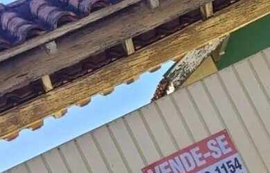 Imagem: Casa em Rolândia quintal amplo