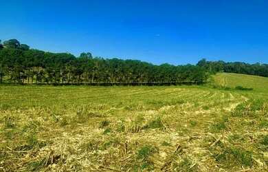 Imagem 7: Lote/Terreno para venda possui 500 metros quadrados em Jardim Imperial...