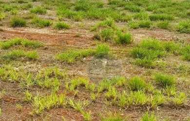 Imagem 3: Terreno à venda à 10min do Centro, 250 m² por R$ 275.000 - Recreio dos Bandeirantes - Uber