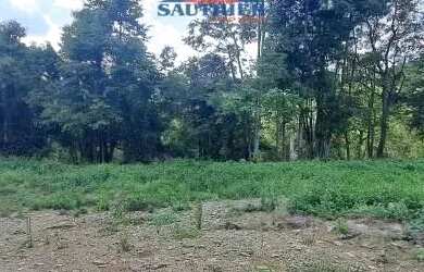 Imagem 4: Terreno Linha 12 Carlos Barbosa