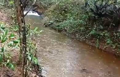 Imagem 9: A M IMOVEIS VENDE EXELENTE FAZENDA COM 400HECTARES EM PARACATU MG