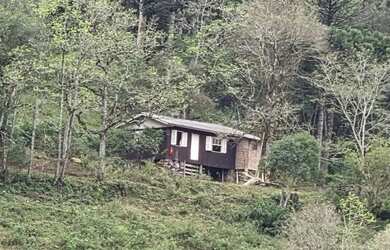 Imagem 3: Sítio / Chácara para Venda em Nova Petrópolis, Linha Pirajá Baixa,...