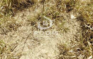 Imagem 8: Fazenda para Venda em Curvelo, Área Rural de Curvelo