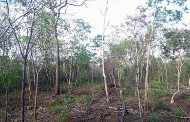Imagem: O terreno possui 1.000m² de Área e está localizado em Felixlândia