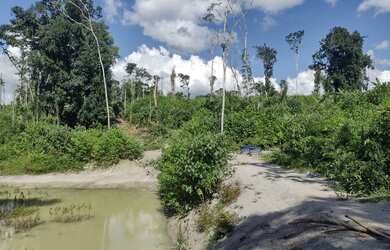 Imagem 4: Fazenda no Sul da Bahia. 1m² de Área