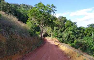 Imagem 2: Chácara em Santa Teresa. 3.000m² de Área