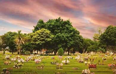 Imagem 2: Jazigo 3 gavetas Jardim da Paz