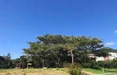 Imagem 3: Terreno em Condominio para Venda - 0m², 0 dormitórios, Campo Novo