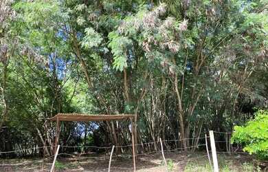 Imagem: O terreno possui 26400m² de Área e está localizado em Chácaras