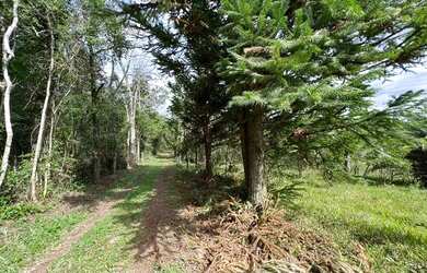 Imagem 4: Chácara De Frente Para Rua Principal. 1T19TD3