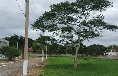 Imagem 7: Vendo terreno em iguabinha