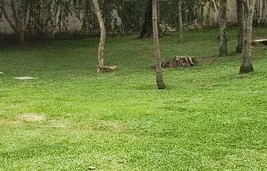 Imagem 14: Apartamento Alto Padrão no Condomínio Le Jardin no Portão