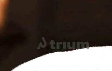 Imagem 5: Casa Jacarandá Casa em condomínio com 4 dormitórios