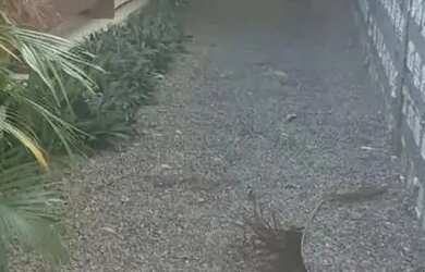 Imagem: A casa possui 3 Dormitórios, 2 Banheiros, 2 Vagas na garagem