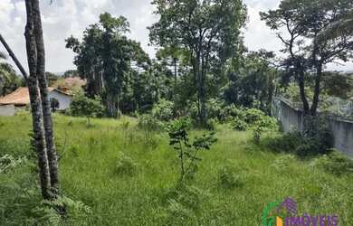 Imagem 3: TERRENO - BAIRRO DO TIJUCO PRETO - SP