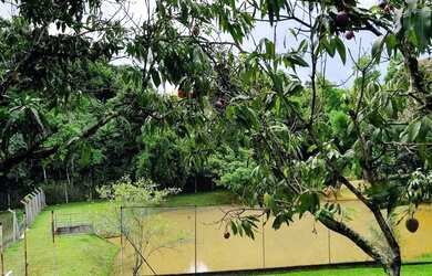 Imagem 15: Chácara dos Pinhais, Boituva/SP