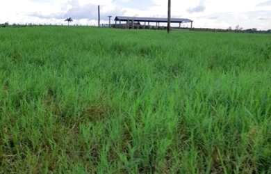 Imagem: A fazenda possui 500000-0m² de Área e está localizado em