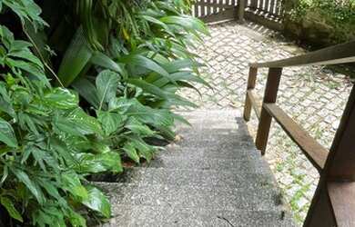 Imagem 13: Charmosa casa na natureza