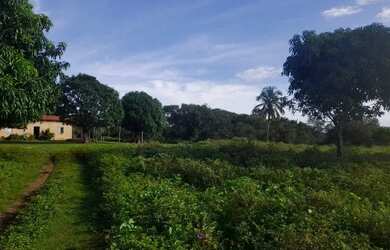 Imagem 3: Fazenda a venda. 450m² de Área