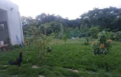 Imagem 16: ATENÇÃO URGENTE Linda casa na Sucupira Alto padrão 1200m² 3 Quartos...