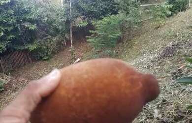 Imagem: A casa possui 2 Dormitórios, 1 Banheiro, 2 Vagas na garagem