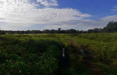 Imagem 2: Fazenda a venda. 450m² de Área