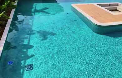 Imagem 15: Apartamento em Nova Parnamirim - 2 e 3/4 - 50m² a 70m² -Entrada em 60x