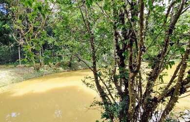 Imagem 10: Chácara dos Pinhais, Boituva/SP