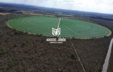 Imagem 7: FAZENDA NO NORTE DE MINAS COM PIVÔ NA BEIRA DO RIO SÃO FRANCISCO PARA...