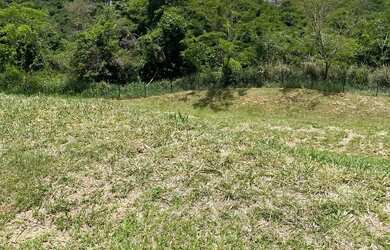 Imagem 8: Lote jardins Nápoles. 391m² de Área