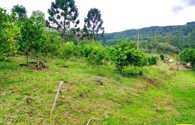 Imagem 11: Sítio / Chácara para Venda em Nova Petrópolis, Linha Riachuelo, 3 dormitórios,...