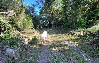 Imagem 6: Chácara De Frente Para Rua Principal. 1T19TD3