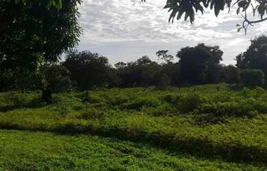 Imagem 12: Fazenda a venda. 450m² de Área