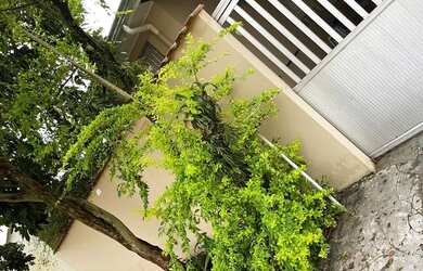 Imagem: A casa possui 1 Dormitório, 1 Banheiro, 4 Vagas na garagem