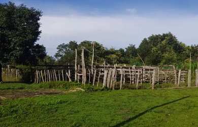 Imagem 10: Fazenda a venda. 450m² de Área