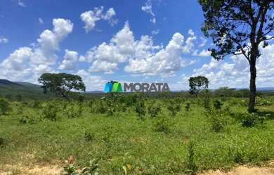 Imagem 7: FAZENDA À VENDA - 190 HECTARES - BURITIS MG