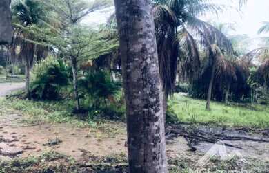 Imagem 5: NISIA FLORESTA/RN Lote com 591,98m² no Condomínio Veredas do Lago Azul