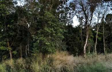 Imagem: A chácara possui 36.000m² de Área e está localizado em