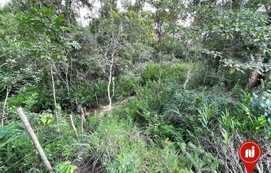 Imagem 4: Terreno à venda, 800 m² por R$ 115.000,00 - Aranha - Brumadinho/MG