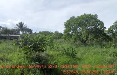 Imagem: A fazenda possui 15m² de Área e está localizado em Centro