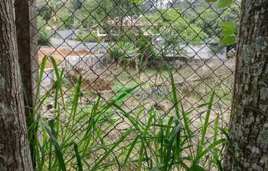 Imagem 3: Terreno à venda, 536 m² por R$ 365.000,00 - Chácara Jaraguá - São Paulo/SP