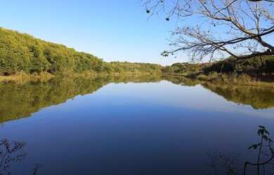 Imagem: A fazenda está localizado em Patrimônio Novo, Votuporanga